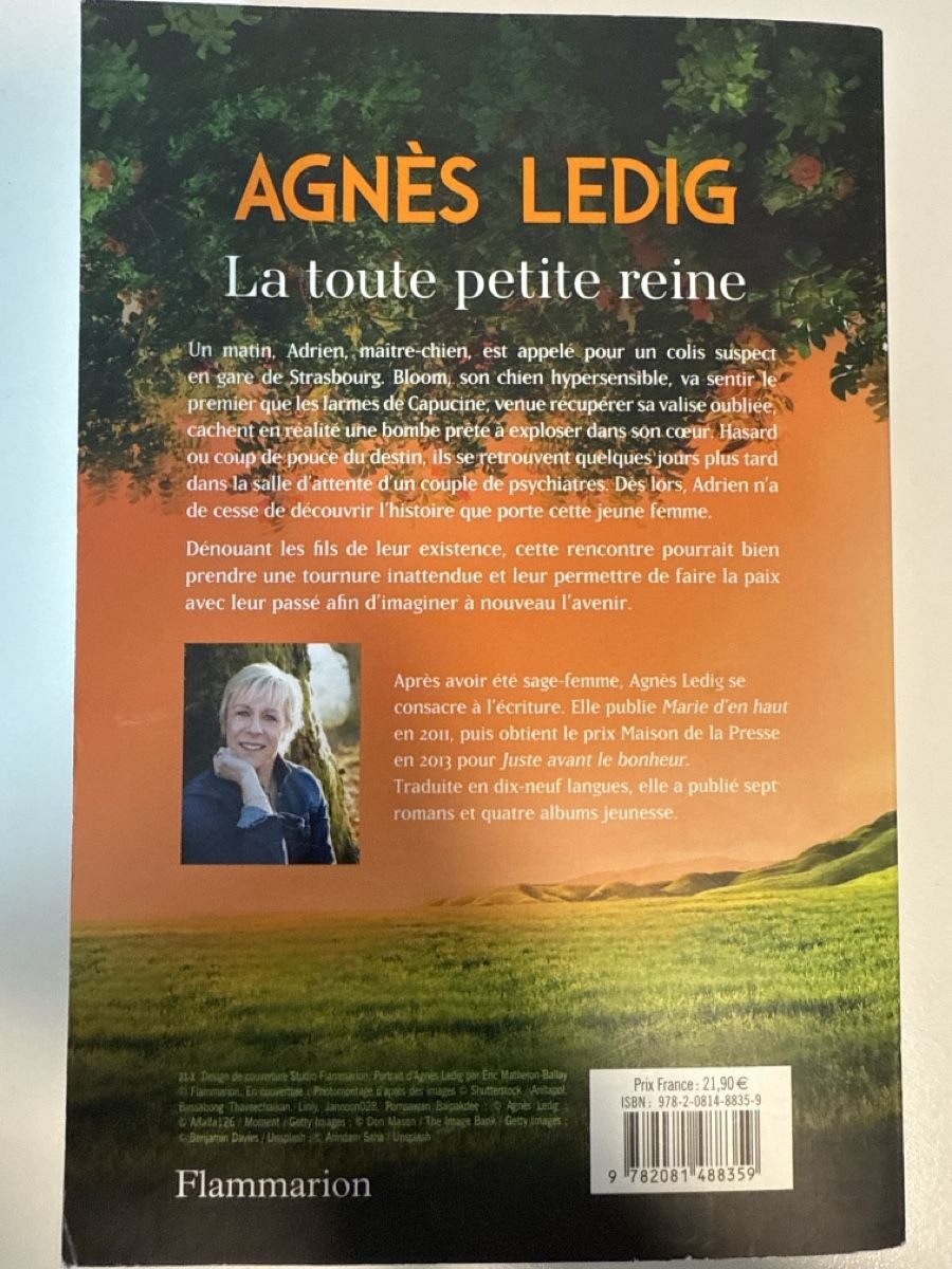 Bücher: Aurélie Valognes - La toute petite reine – Gebraucht aus Horw von Edith1981 1