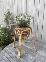 Support pour plante