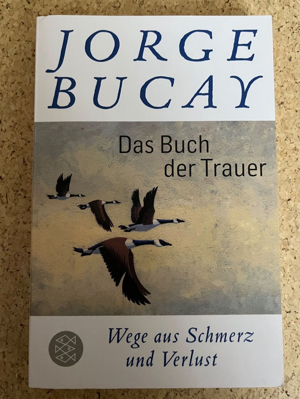 Libri: Taschenbuch "Das Buch der Trauer", Jorge Bucay – Usato da Grosswangen venduto da Vita500
