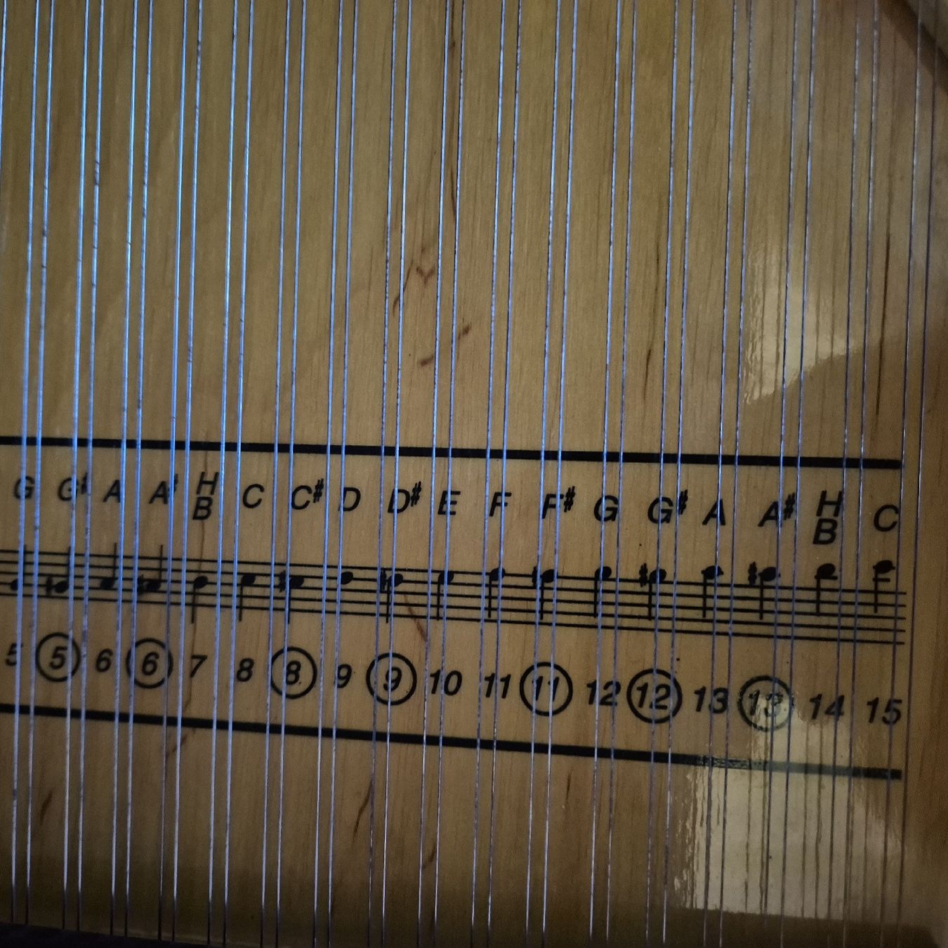 Instruments de musique: Zither – D'occasion à Stein am Rhein par chjokerx 7