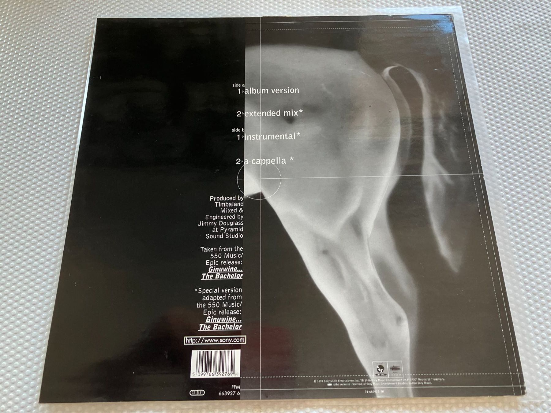 Dischi in vinile: Ginuwine – Usato da Aarwangen venduto da Jukebox3 2