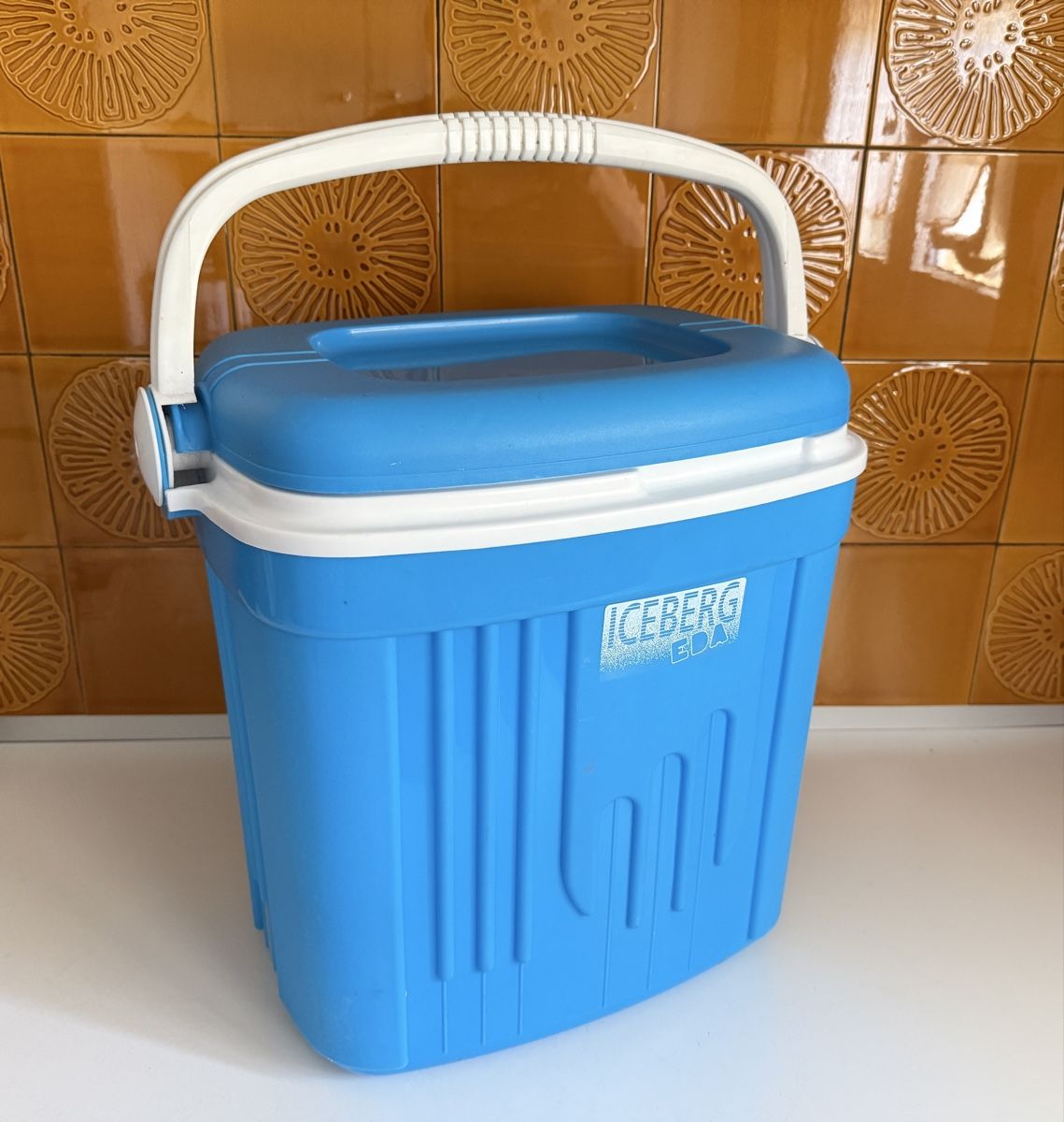 Frigoriferi & Refrigeratori: Kühlbox Iceberg Eda – Usato da Gerlafingen venduto da sternrose