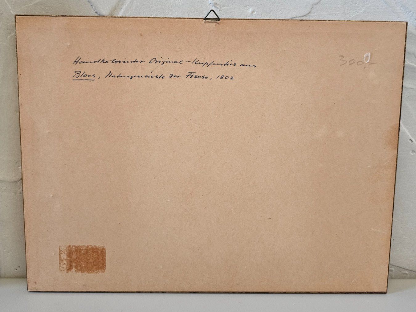 Stiche: Handkolorierter Original-Kupferstich – Gebraucht aus Galmiz von bea_hff8 3