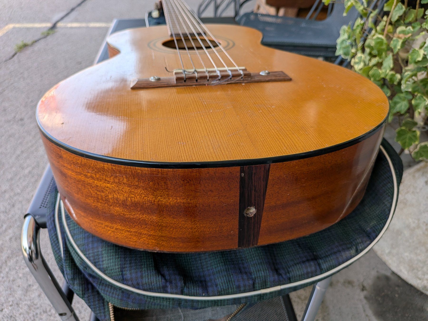 Framus Strumenti musicali: Gitarre Framus mit Etui – Usato da Emmen venduto da Brockofsky 2