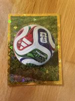 Panini FWC 5