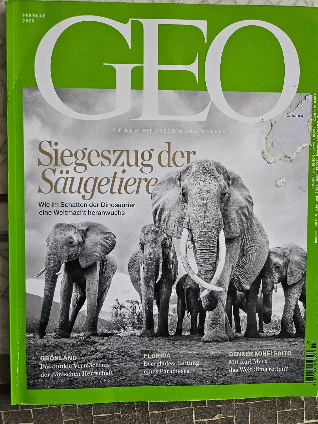 Riviste & Magazine: GEO, Siegeszug der Säugetiere – Usato da Zürich venduto da lorenzo167