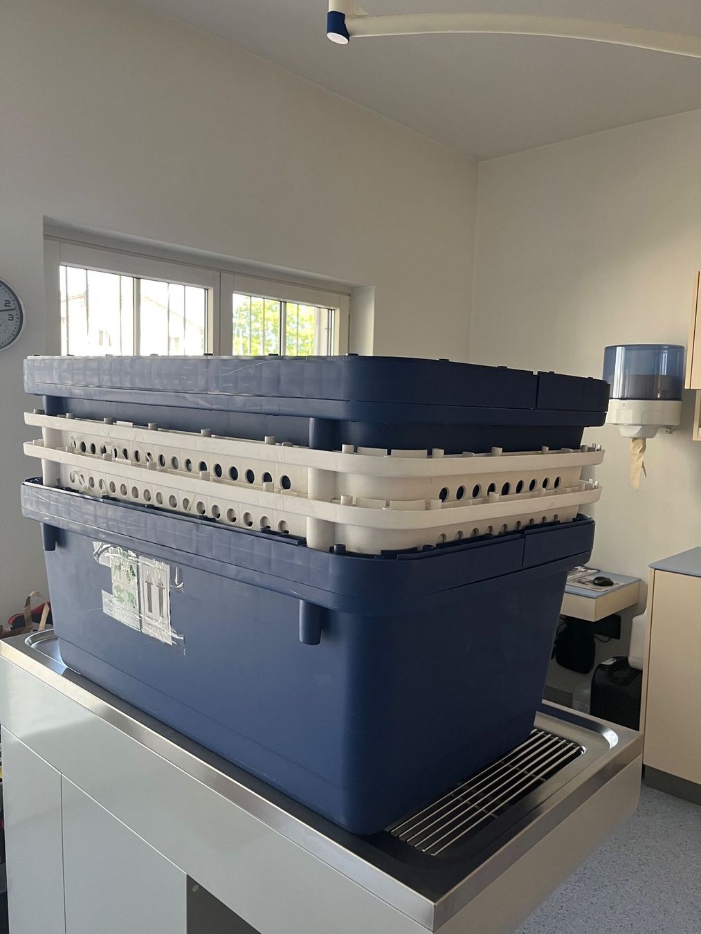 Gabbie, trasporto & Sicurezza: Transport Boxen Hunde gross – Nuovo (secondo la descrizione) da Adliswil venduto da lucky20