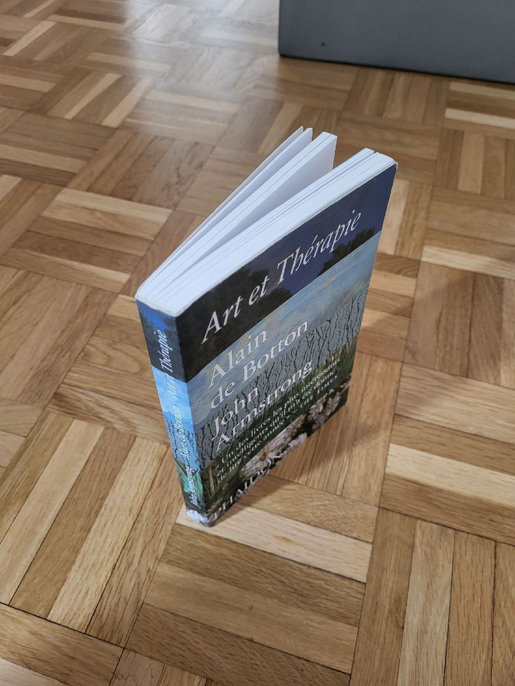 Libri: Art et Thérapies - Phaidon – Usato da Genève venduto da Poupoulita 1