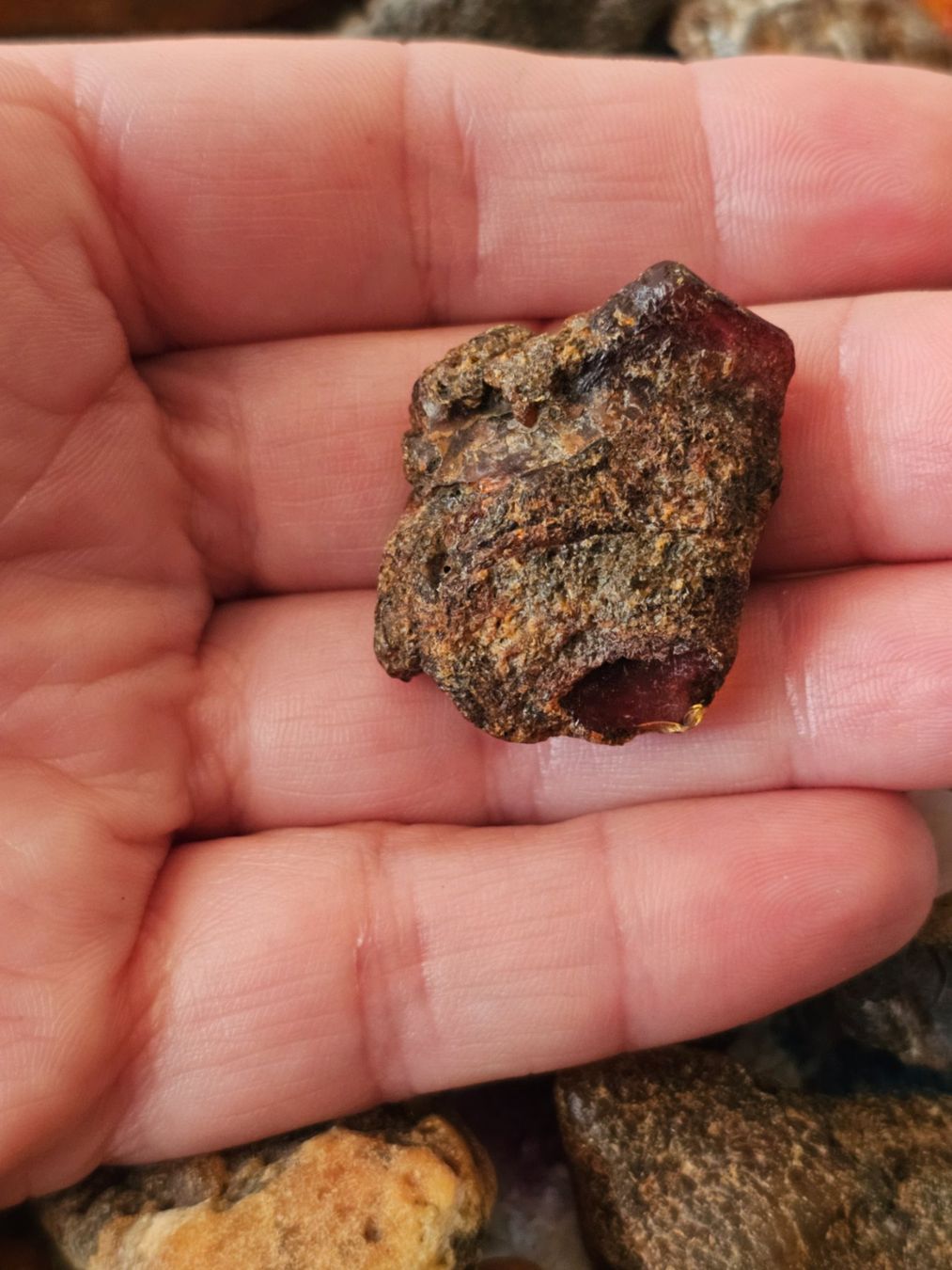 Minerali & Pietre curative: 5,7 gr Rohbernstein echt Roh Bernstein baltisch raw rot – Nuovo (secondo la descrizione) da Riedt b. Erlen venduto da Gottestraene 6