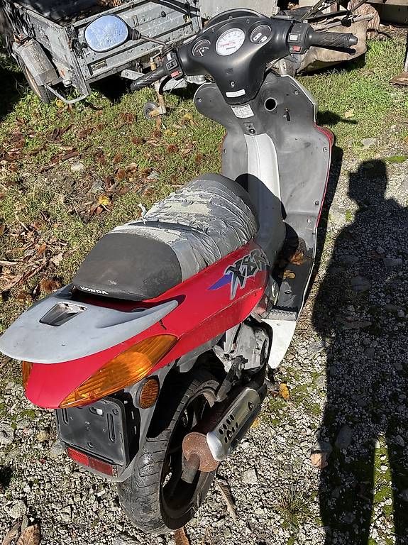 Scooter: Honda x8rs – Usato da Biasca venduto da dam_v27g 2