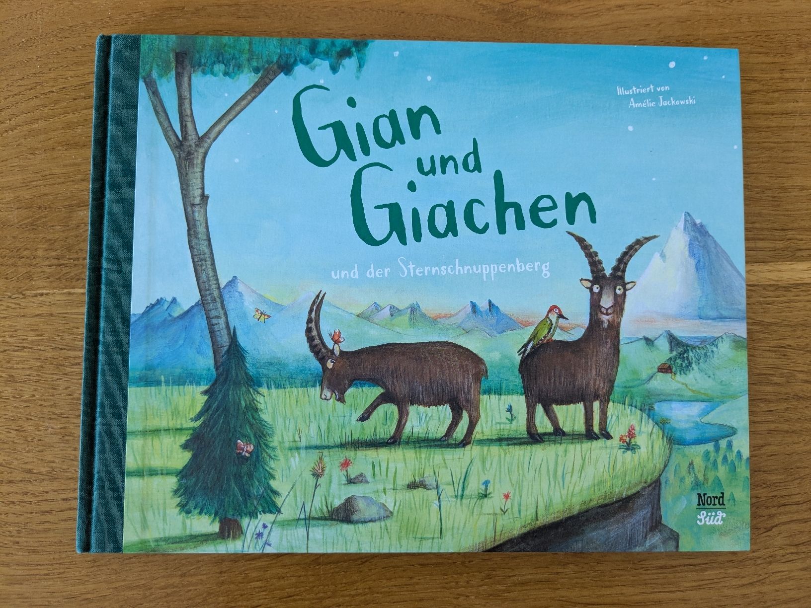 Libri: Gian und Giachen und der Sternschnuppenberg  – Usato da Wohlen AG venduto da merkur0300