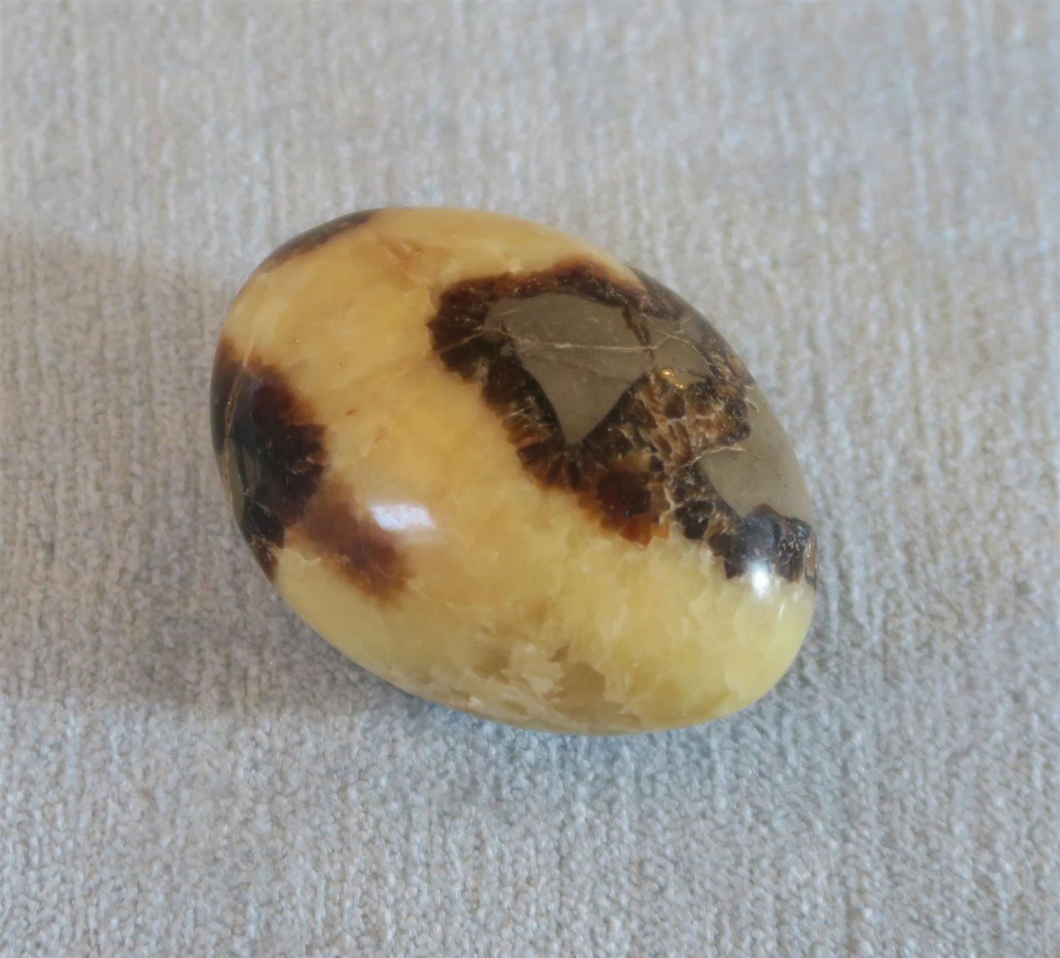 Mineralien & Heilsteine: Stein-Ei flach 67x37/50 mm Septarie – Gebraucht aus Brittnau von marlenestone 3