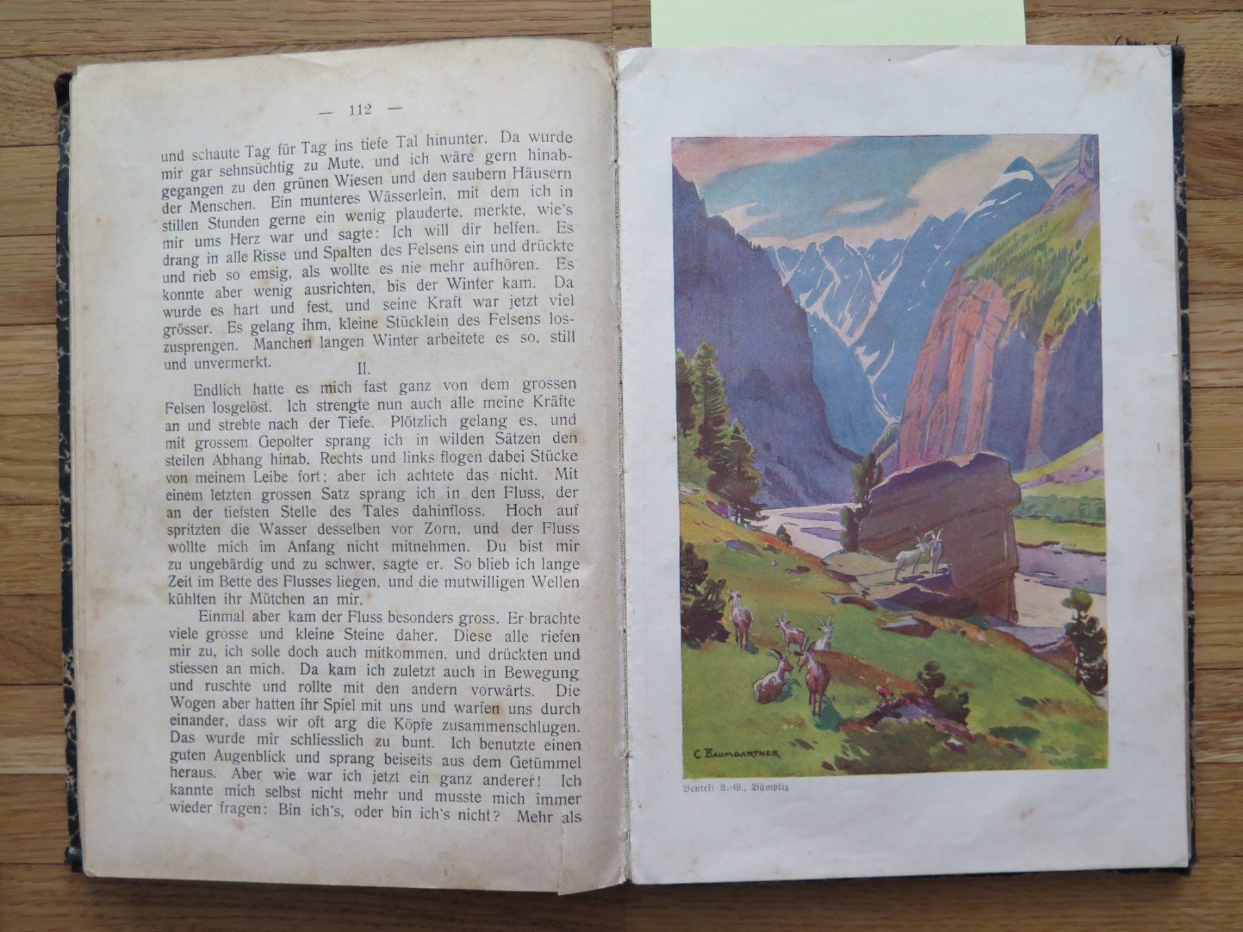 Libri: Schule - Antiquarisches Buch -  Lesebuch Kanton Bern – Usato da Zwingen venduto da Tigertimmi 8