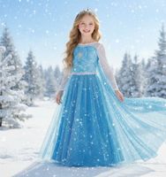 Elsa Kostüm Eiskönigin blau gebraucht