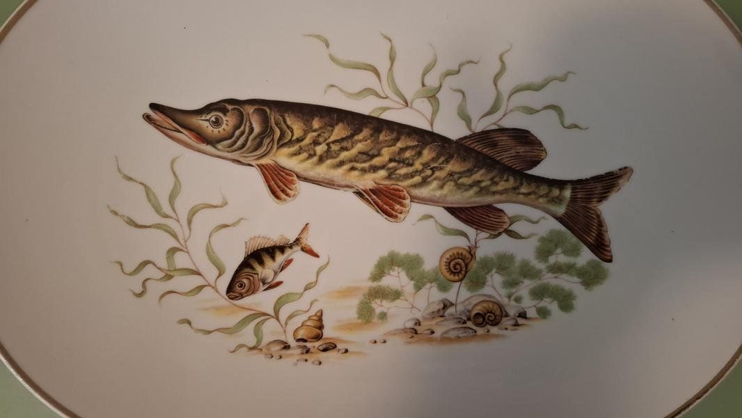 Set di piatti: Tellerset mit Fischbemalung – Nuovo (secondo la descrizione) da Hergiswil NW venduto da buiz26 2