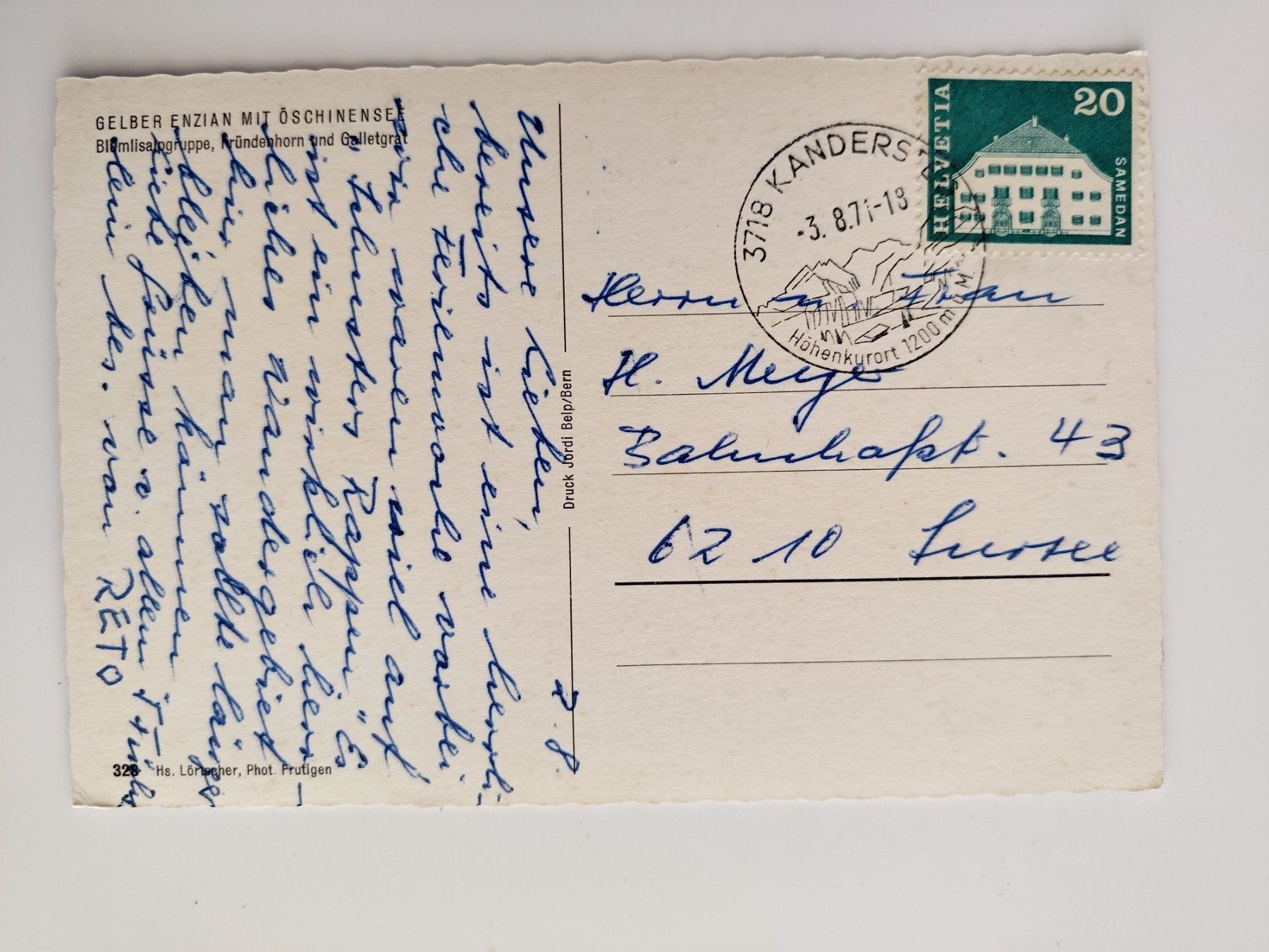Cartoline postali: Gelber Enzian mit Oeschinensee, dat. 1971 – Usato da Ohmstal venduto da Lebensfreude05 1