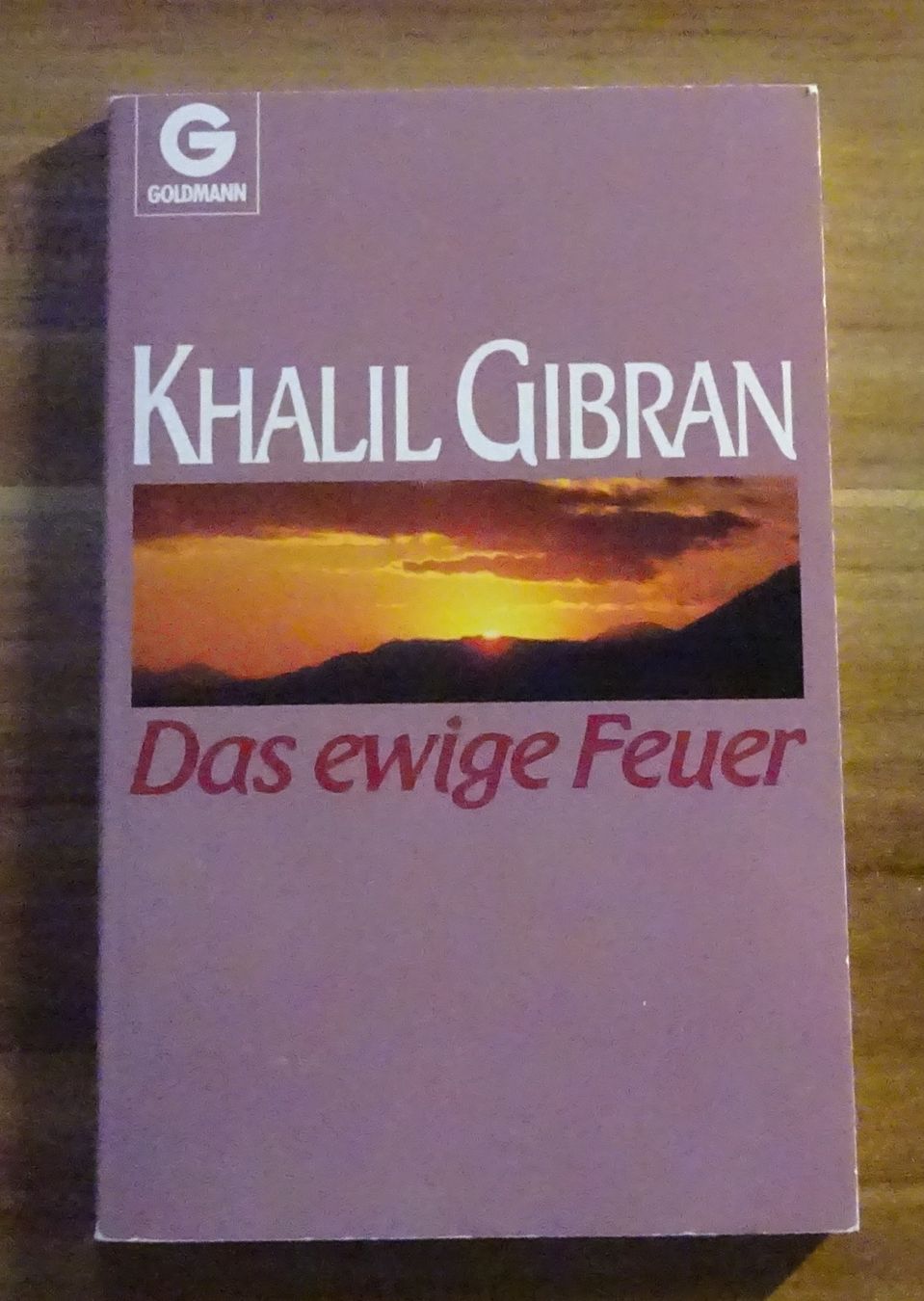 Libri: Das ewige Feuer von Khalil Gibran – Usato da Wagenhausen venduto da Svema