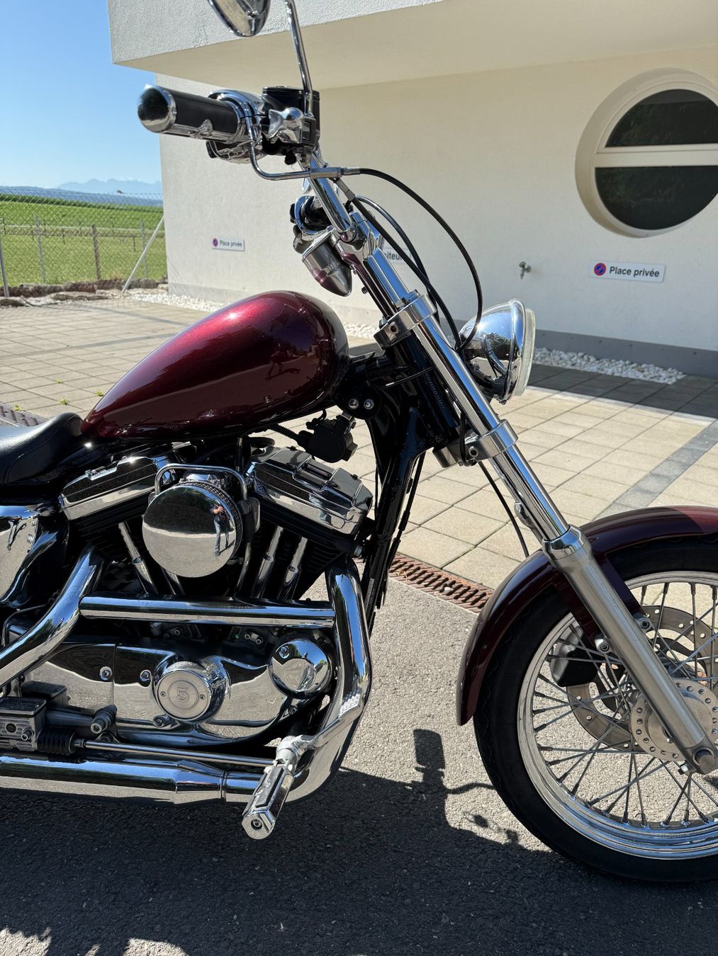 Harley-Davidson Altro: Harley Davidson XL53C – Usato da Eclagnens venduto da Vialli 6