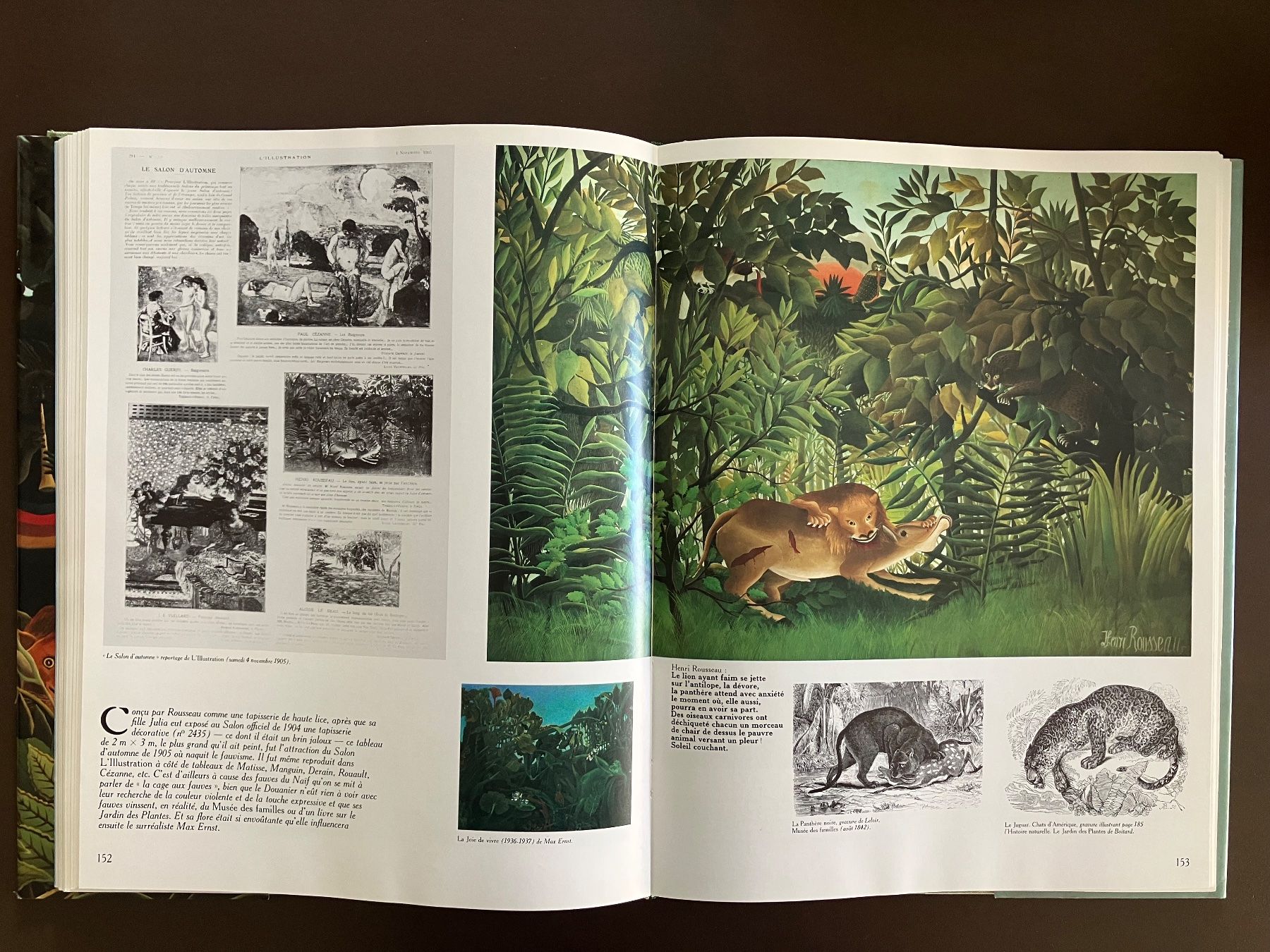 Libri: Art - le Monde du Douanier Rousseau – Usato da Menziken venduto da timbuktu1001 6