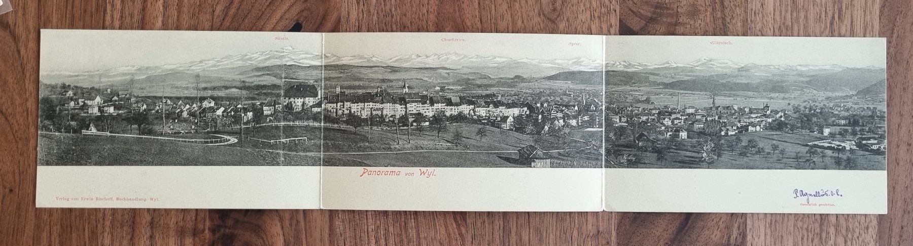 Cartes postales: Wil - Wyl - Panorama - Klapp Ansichtskarte – D'occasion à Rothrist par RROENK