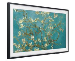 Samsung The Frame QE50LS03B mit Garantie bis 5.12.2028