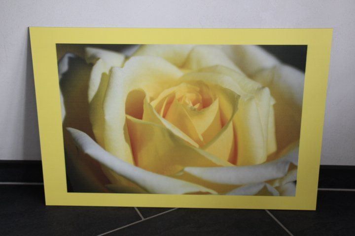 Poster & Bilder: Aluplatte 40 x 60 cm – Neu (gemäss Beschreibung) aus Eschenbach SG von Anisti13