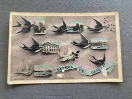 Antike Postkarte "Souvenir de Genève", 10 Motive mit Schw...