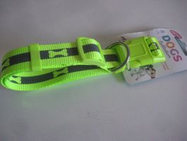 HUNDE  HALSBAND
