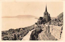 Ligerz (BE) Rebberge und Kirche am Bielersee