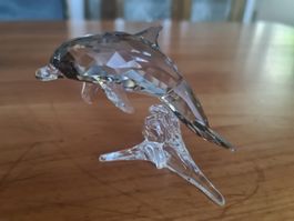 Swarovski Figur Delphin Originalverpackt 