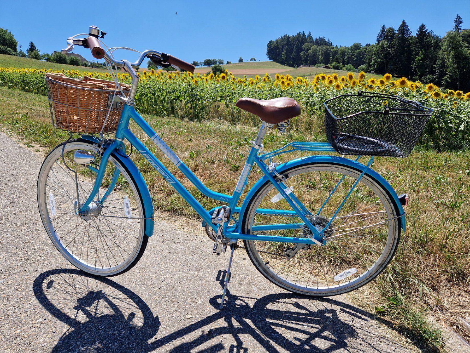 Leopard Biciclette: Zu Verkaufen Damenvelo – Usato da Niederönz venduto da nydi65