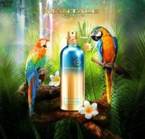 MONTALE Tropical Wood