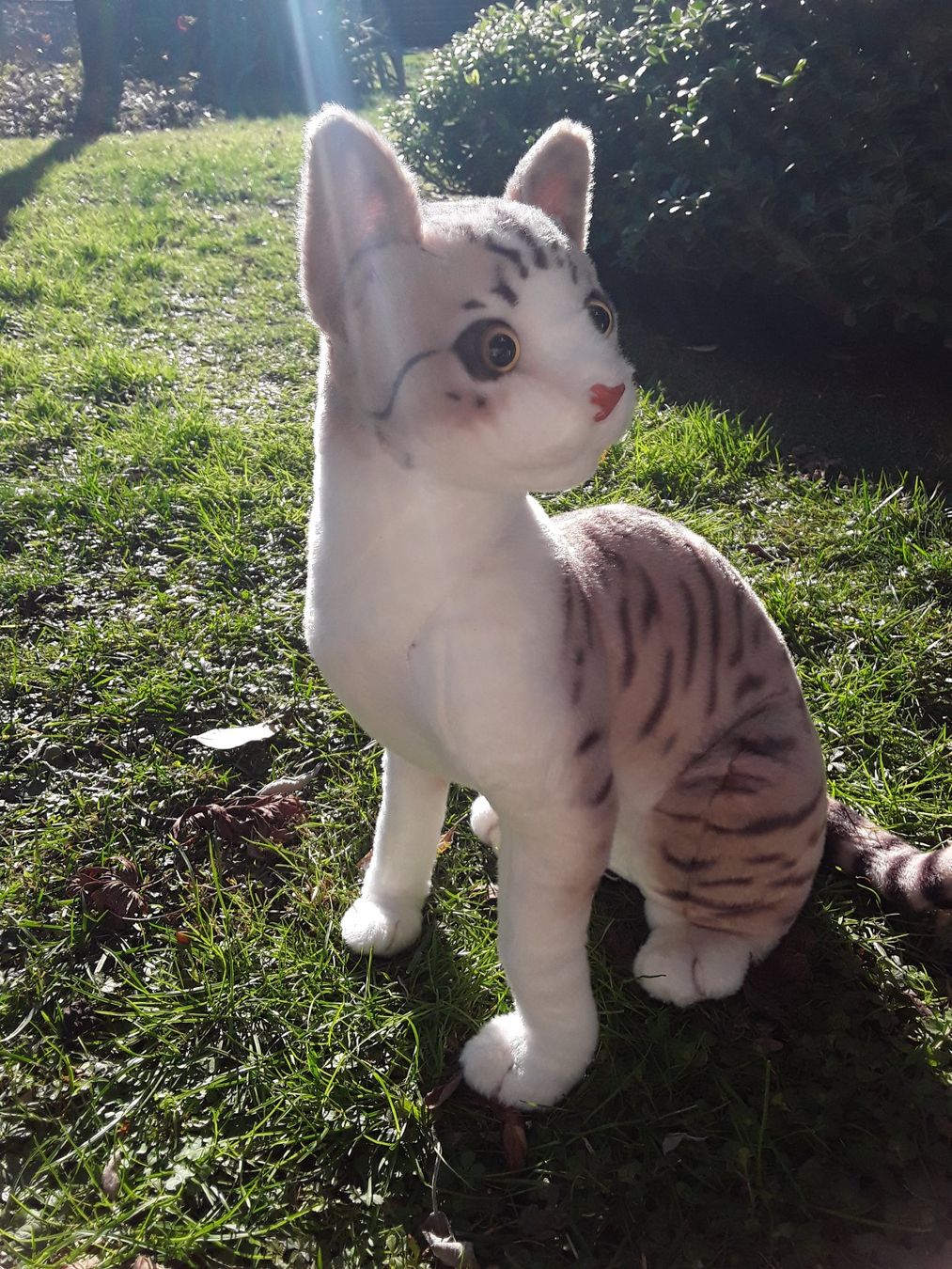 Giocattoli: Haus-Katze – Nuovo (secondo la descrizione) da Castagnola venduto da Cat-WomenX 2