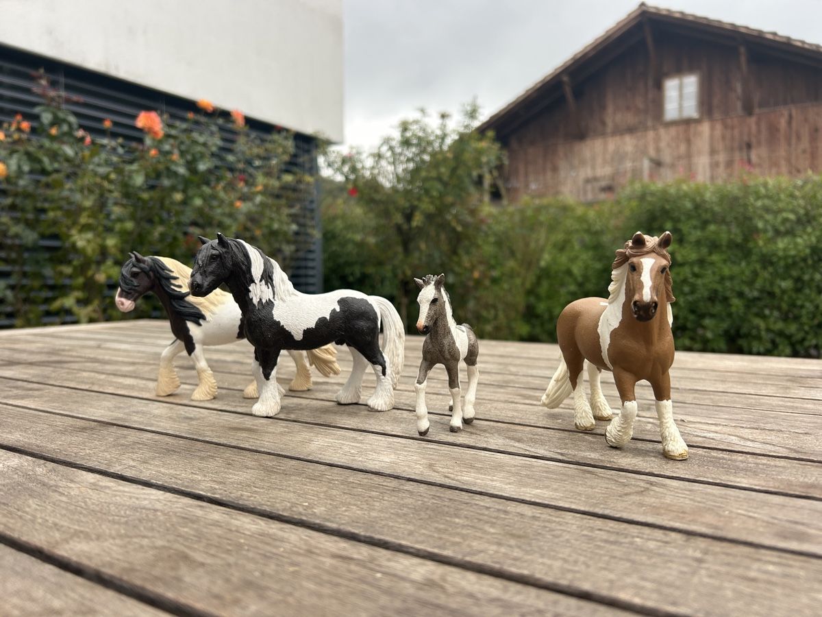 Schleich Jouets: Schleich Pferde, Tinker – D'occasion à Mägenwil par Australia19 2
