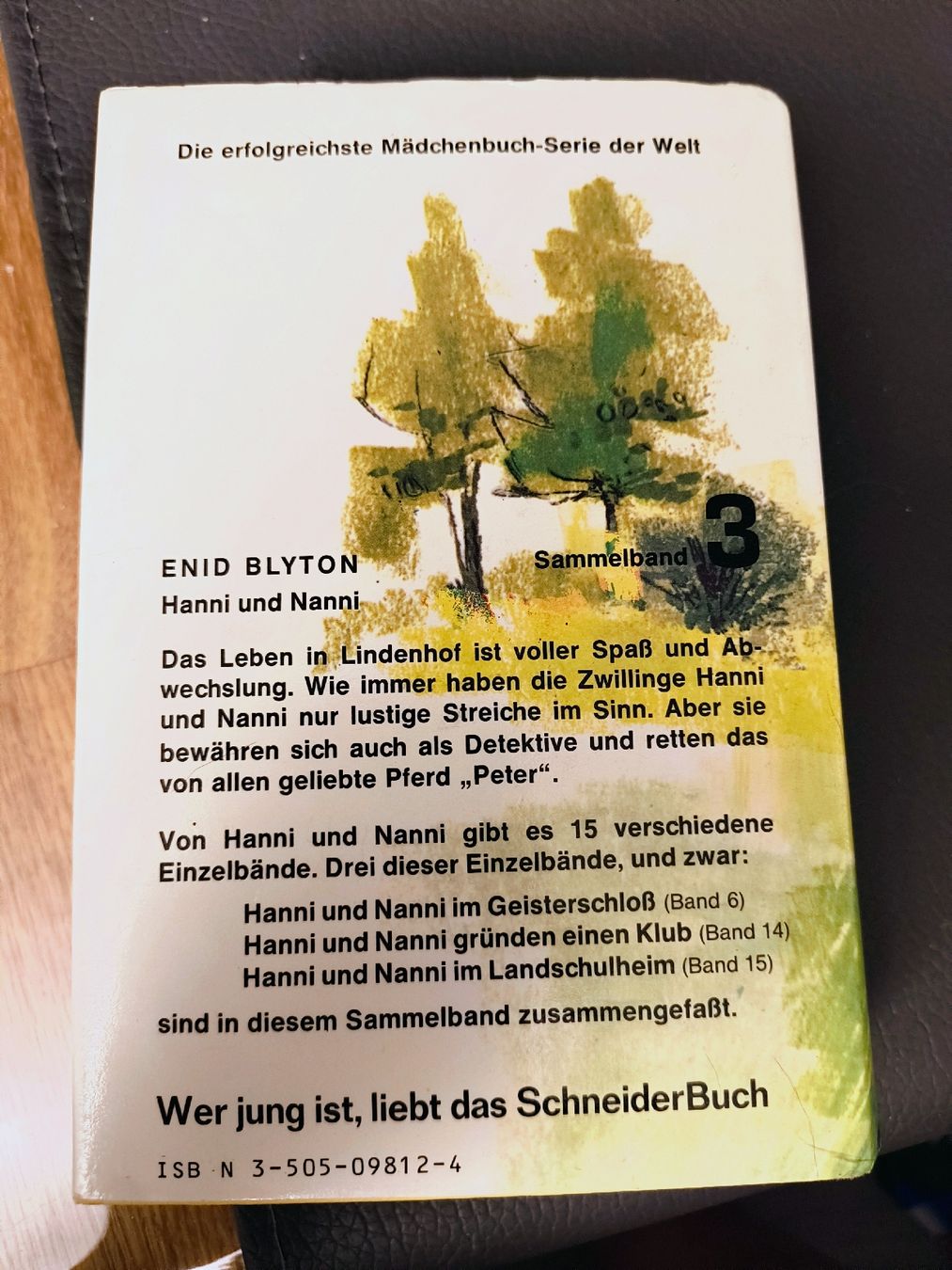 Libri: Hanni und Nanni Band 3 – Usato da Schöfflisdorf venduto da KKB-Team1 1