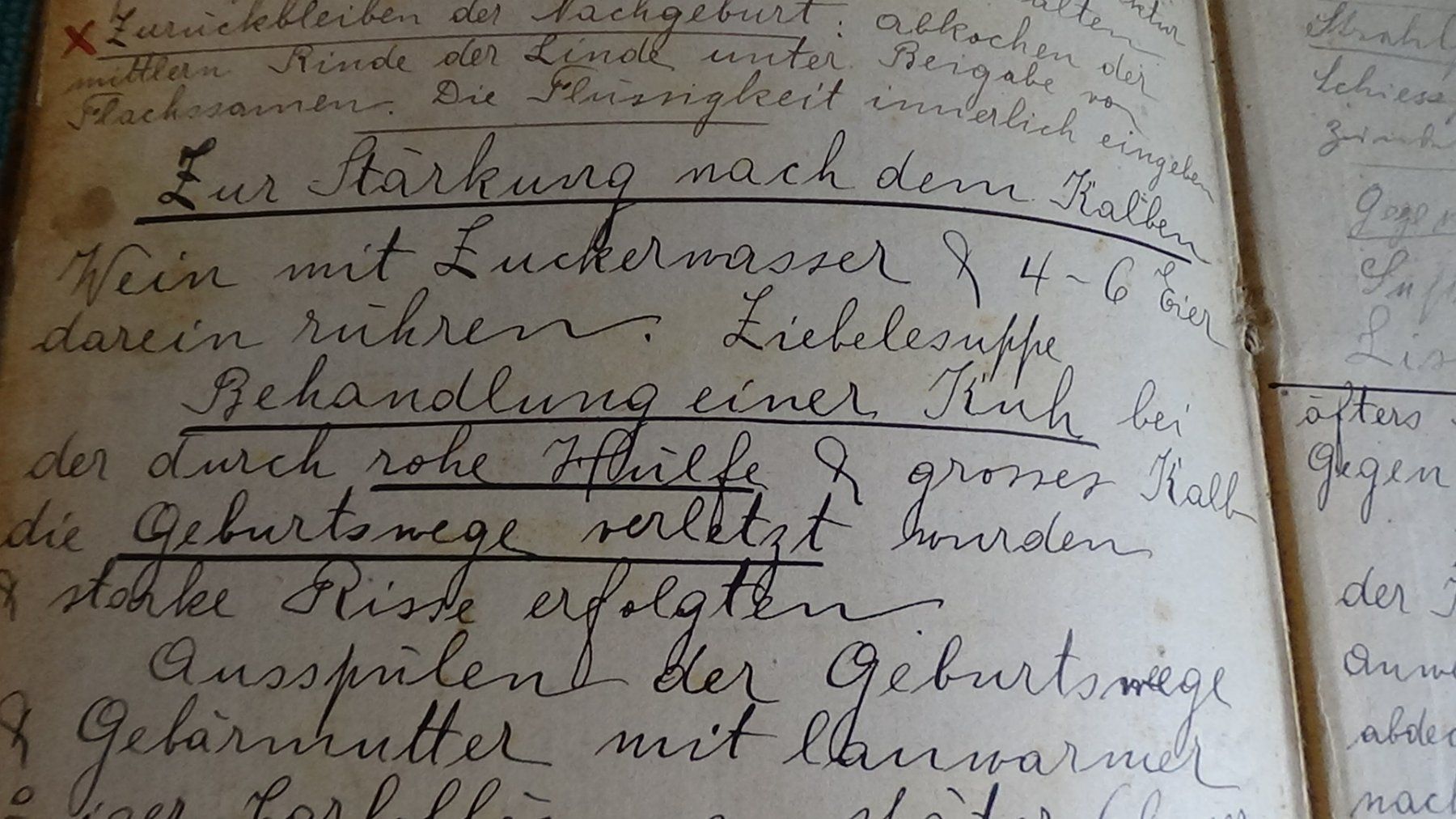 Bücher: Antikes Buch der Haustierarzt 1887 – Gebraucht aus Wiedlisbach von Bobesch10 6