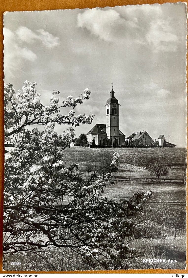 Cartoline postali: AK: SPEICHER - Kirche – Usato da Lutry venduto da Ediego