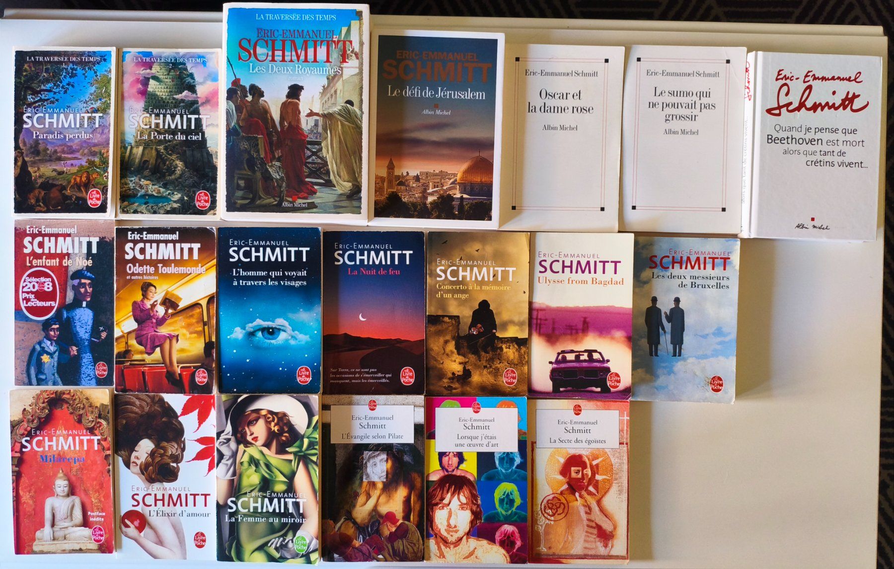 Libri: Lot de 20 romans d'Eric Emmanuel Schmitt – Usato da Lausanne venduto da genybi
