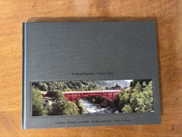 Wilfried Dechau: Nossa Punt - Tavanasa Brücken Landschaft