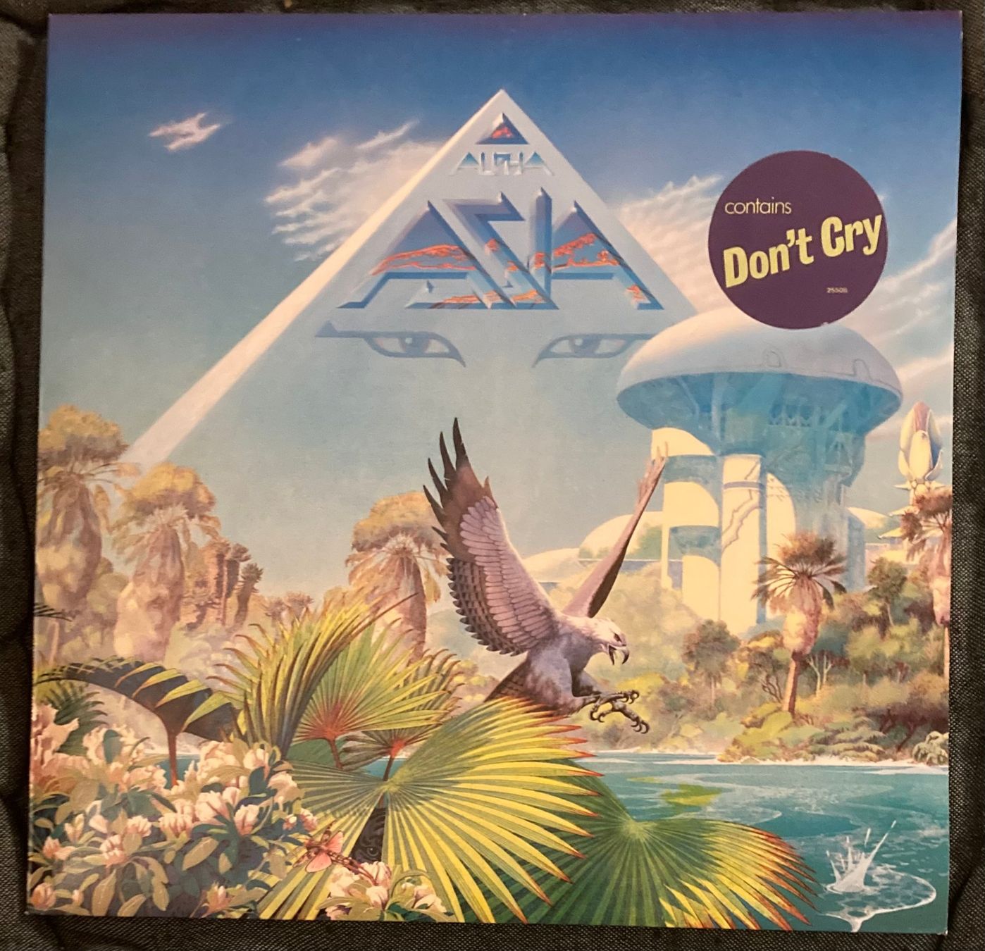 Dischi in vinile: Asia – Alpha / LP / 1983 – Usato da Zürich venduto da LustForLive