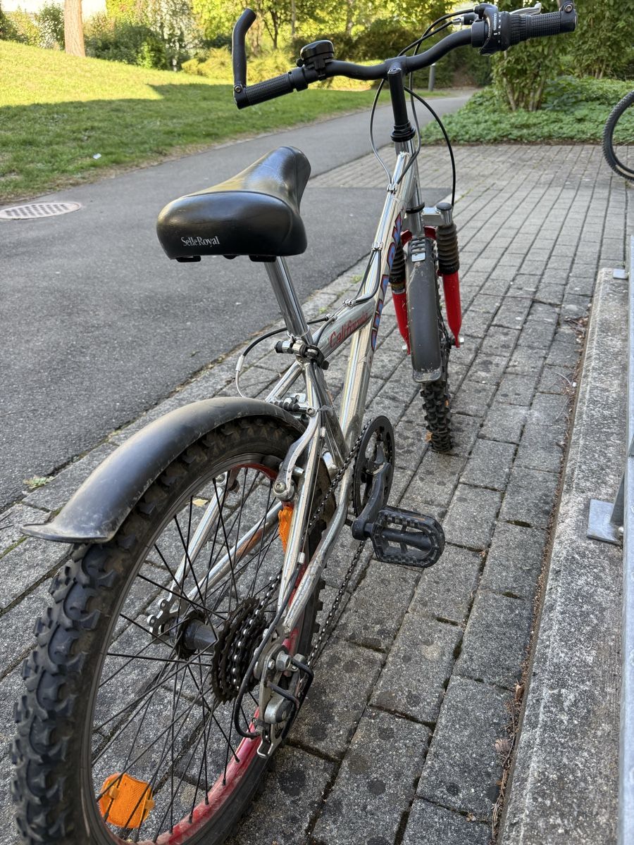 Biciclette: Kindervelo Shark silber rot – Usato da Uster venduto da HiestandReto 6