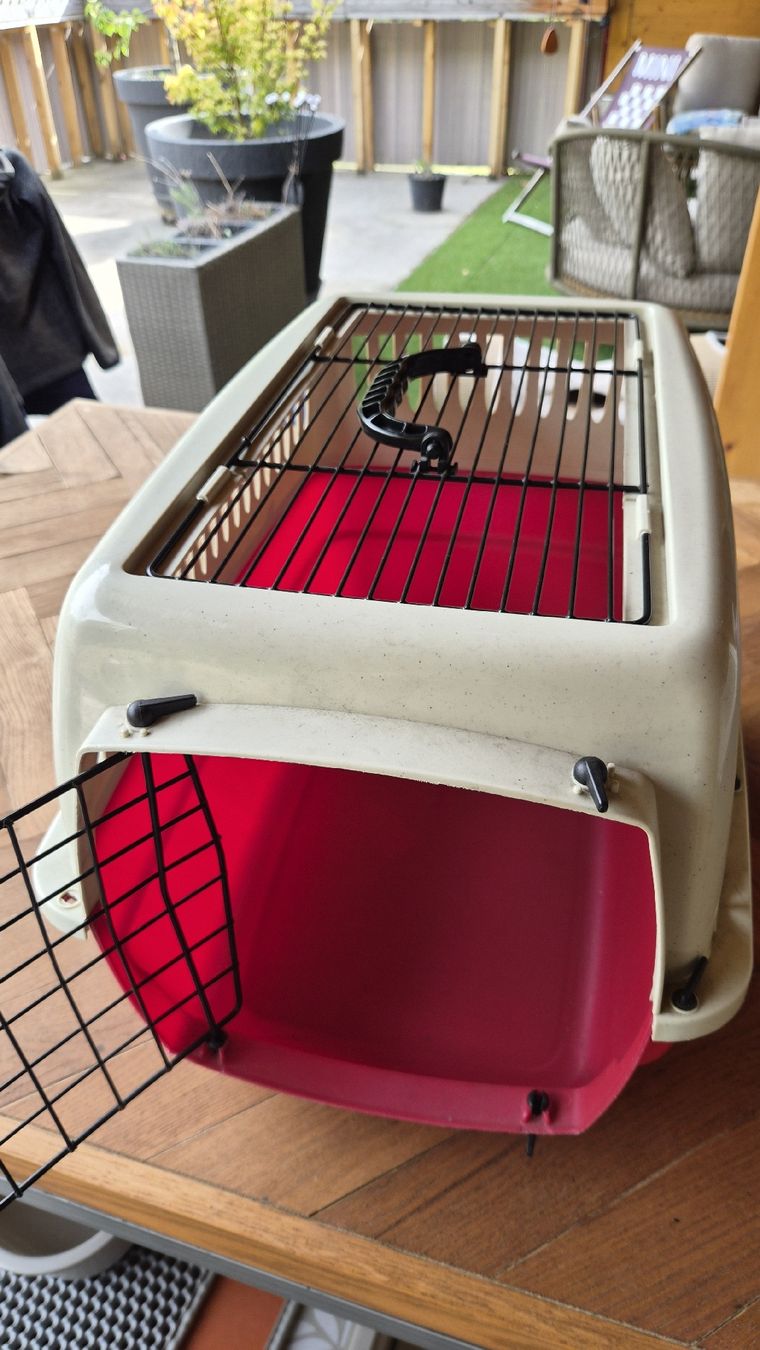 Cucce & Letti: Transportbox für Katzen – Usato da Schiers venduto da sabrina_88