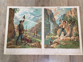 Schüler-Bildertafel Antik Farbdruck 1923 Alpenbilder