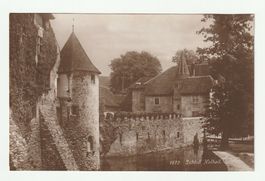 Alte Postkarte 1918 Schloss Hallwyl Blick Befestigungsmauern