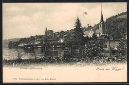 Weggis /Vierwaldstättersee, Uferpartie 