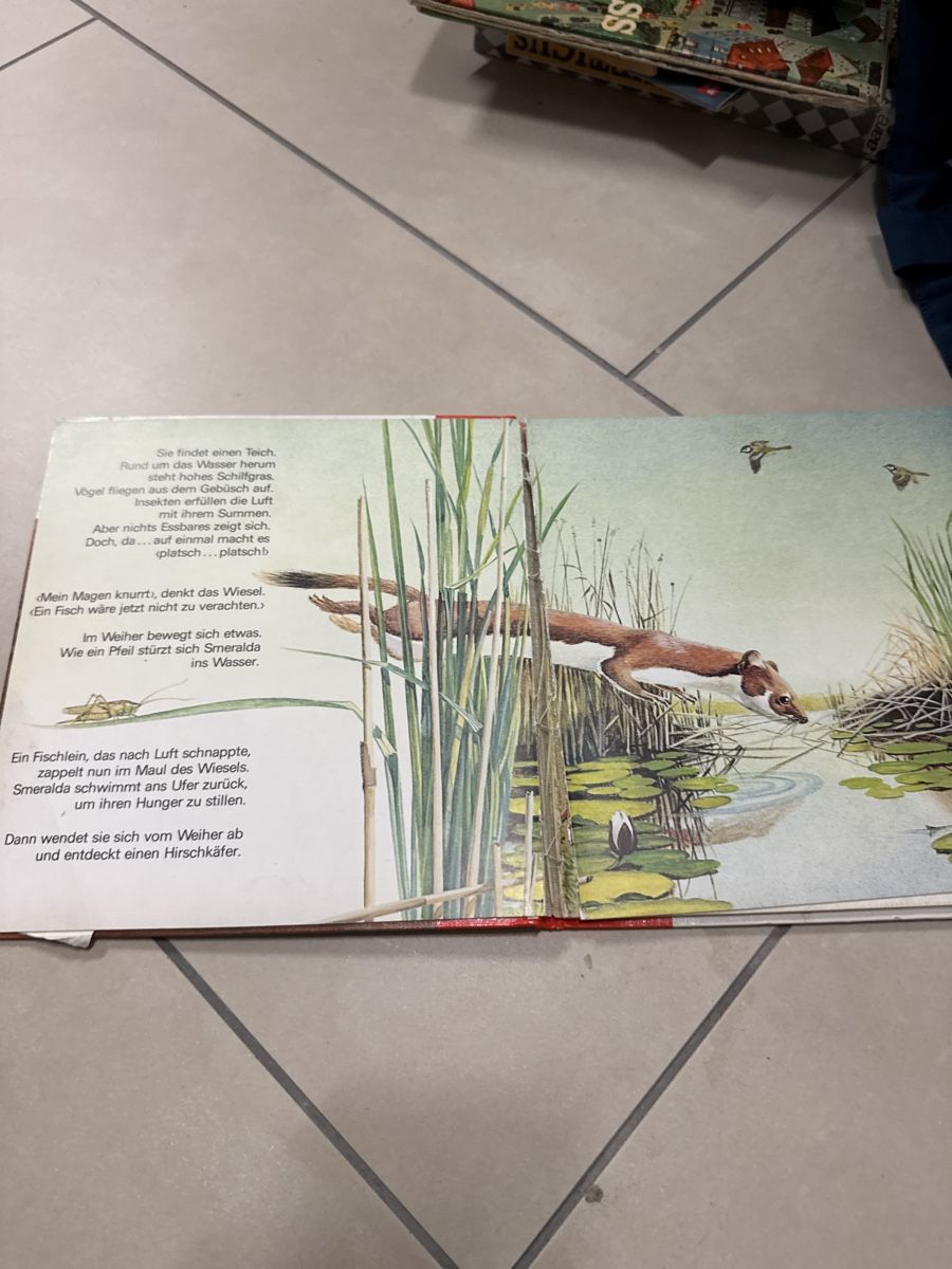 Libri: Smeralda – Usato da Buttikon SZ venduto da Kellerabteil 1