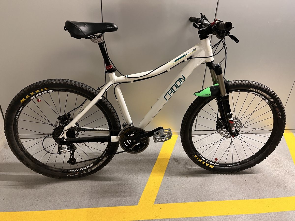 mountainbike 61 cm TRGCJGH Mountain Bike, Fat Bikes Spezifikation:Ace Pro (15Ah) Shimano GRX RX610 Gravel spiraledge:8193864