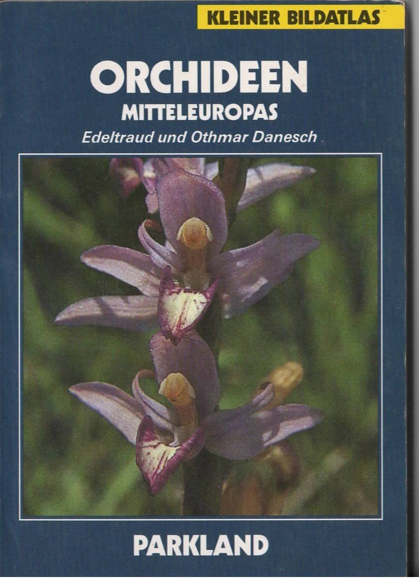 Libri: 1 Sachbüchlein Orchideen – Usato da Basel venduto da Happybaer
