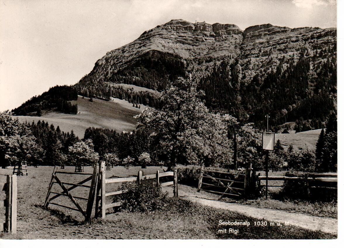 Cartoline postali: Seebodenalp mit Rigi – Usato da Wolhusen venduto da Curver9