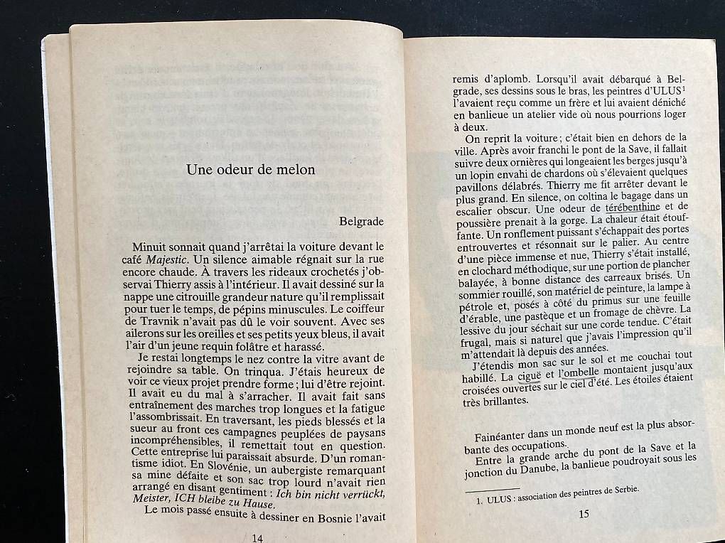 Libri: L'usage du monde, Nicolas Bouvier – Usato da Zürich venduto da Pascal_2bzx 1